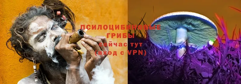 Псилоцибиновые грибы ЛСД  ссылка на мегу ссылки  Новое Девяткино 